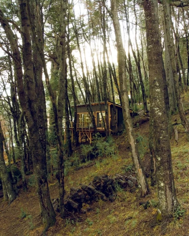 Habitat — foto 2